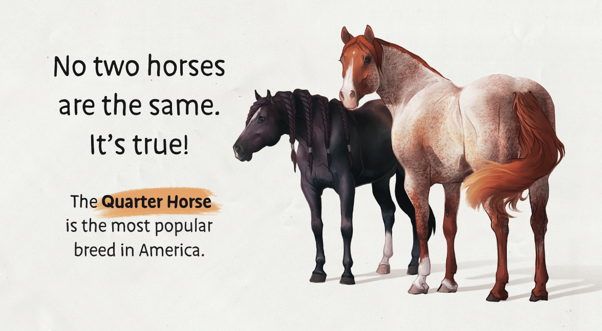 Baby's First Book of Horses